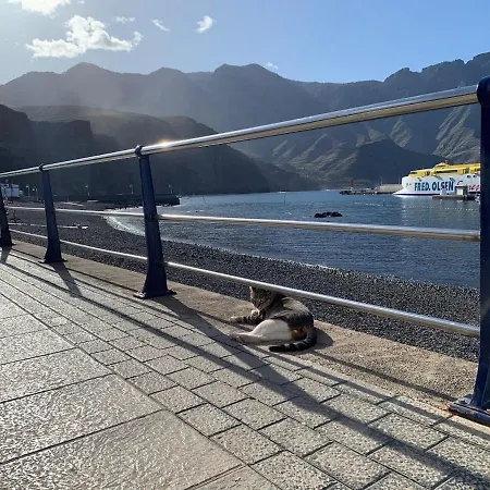 El Turman 101 Con Terraza Solarium Bbq Agaete (Gran Canaria)